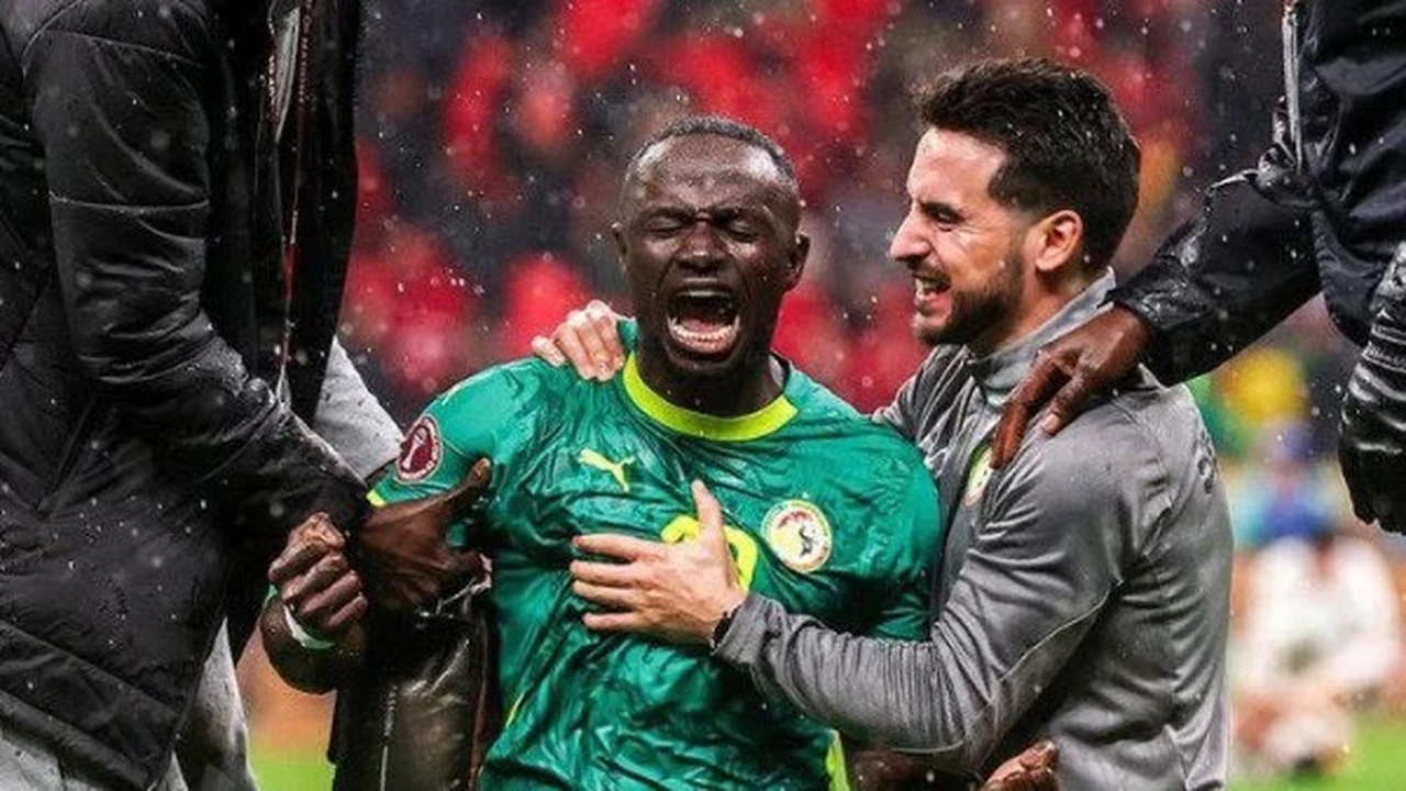 بطل أفريقيا الجديد.. إبراهيم فايق يعلق على فوز السنغال ضد المغرب بالنهائي